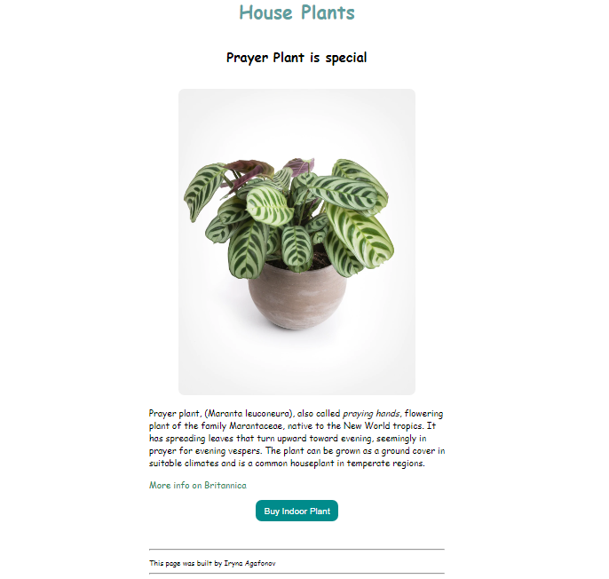 Plant project preview